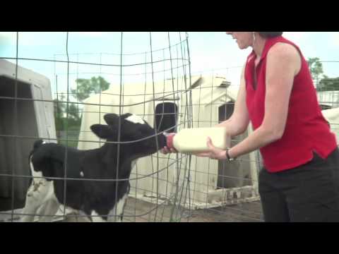 Luther Belden Farm, MA