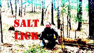 Appalachian Squatch Society Season 2 promo BIGFOOT BEWARE!