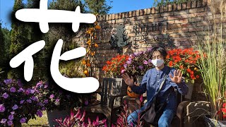 自然豊かな花が好き【でんでん】