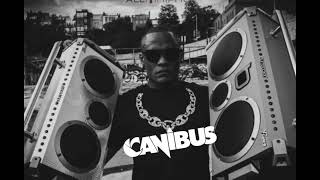 Canibus - Behind Enemy Rhymes Remix