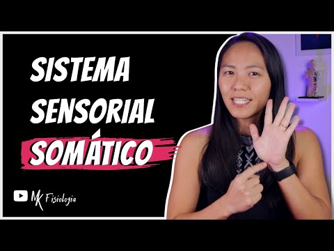 SISTEMA SENSORIAL SOMÁTICO (SOMATOSSENSORIAL): TATO E TEMPERATURA | MK Fisiologia
