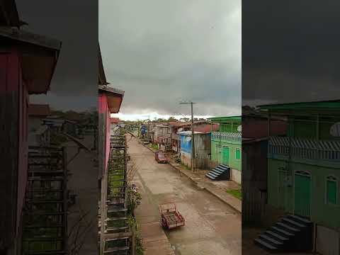 município de anamã Amazonas