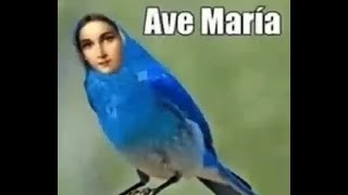 PUBG: DOIS PACOTES - AVE MARIA