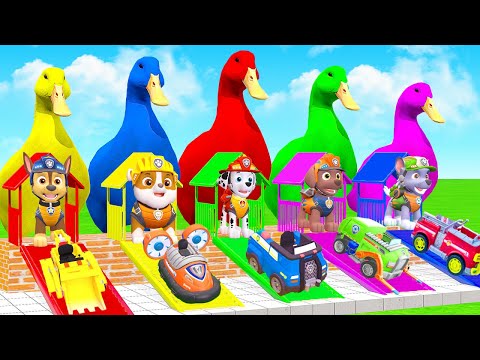 PAW Patrol Animal Long Slide Game Funny ESCAPE ROOM CHALLENGE Mammoth Elephant Gorilla Lion