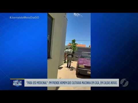 PM prende homem que cultiva maconha em casa em Caldas Novas