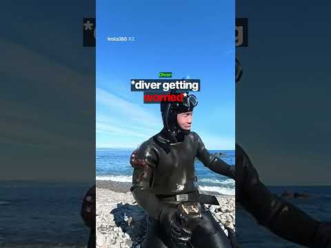 Octopus VS Human 😱