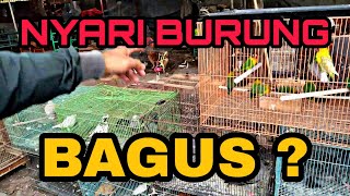 Download lagu STORY WA LUCU 30 DETIK Bagusnya Burung Apa!!😂 || STATUS WA BIKIN KETAWA Ngakak || 2020 #258 mp3 Download lagu STORY WA LUCU 30 DETIK Bagusnya Burung Apa!!😂 || STATUS WA BIKIN KETAWA Ngakak || 2020 #258 mp3