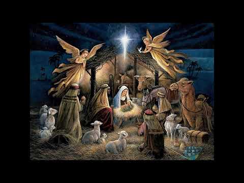 Don Ivan Terze - Propovijed na ponoćku 2023.