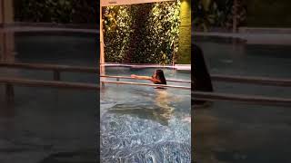 Tiktok Gái Xinh Bikini ❤️ Những Clip Tiktok Triệu View ❤️ Mejores Tik Tok Chinese Girls  #Shorts
