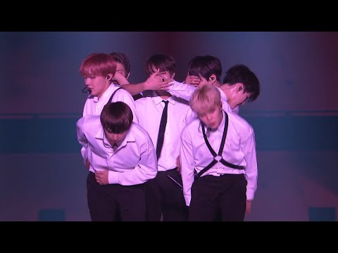 [4K] BTS (방탄소년단) - Blood, Sweat & Tears [LIVE Performance] Yoyogi National Gymnasium