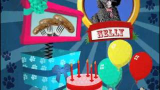 Nelly is Boomerang TVs Furry Pet of The Week