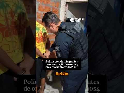 Polícia prende integrantes de organização cr1m1n0s4 em ação no Norte do Piauí