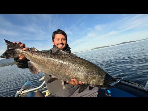 Pescando SALMONES CHINOOK en el Lago RANCO 🔥🎣 Este término de temporada se viene un LUJO 💪