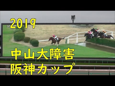 2019　中山大障害　阪神カップ