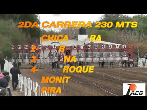 CHICA NEGRA HIPODROMO EL DESCUIDO EL BRETE 07 08 2022