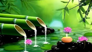 Música Relaxante ? Música Para Dormir Profundamente em 5 Minutos ? [Barulho da Chuva] ?