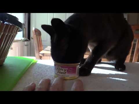 Albert cleans the can of food