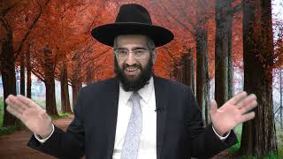 דרך מעבר העולמות | מתיקות התניא | הרב אלרועי כהן (מוסדות כיסא רחמים) - התמונה מוצגת ישירות מתוך אתר האינטרנט יוטיוב. זכויות היוצרים בתמונה שייכות ליוצרה. קישור קרדיט למקור התוכן נמצא בתוך דף הסרטון דרך מעבר העולמות | מתיקות התניא | הרב אלרועי כהן (מוסדות כיסא רחמים) - התמונה מוצגת ישירות מתוך אתר האינטרנט יוטיוב. זכויות היוצרים בתמונה שייכות ליוצרה. קישור קרדיט למקור התוכן נמצא בתוך דף הסרטון