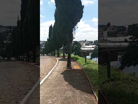 Franburguio SC Brasil