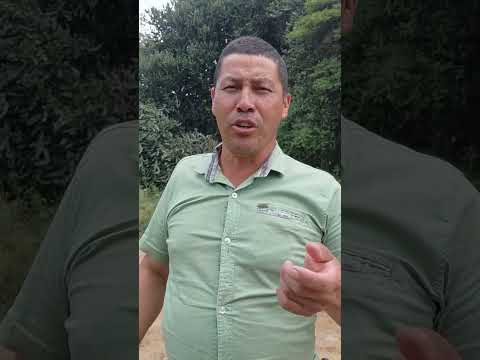 Hago esta disculpa publica a la gente de dolores tolima No fue mi intencion ofenderlos me