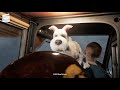 The Adventures Of Tintin The Secret Of The Unicorn Plane Crash Family Movie