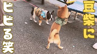 新しい出会いがありました♪