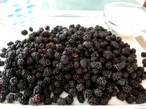 download lagu mp3 mp4 Berry Syrup Canning Recipe, download lagu Berry Syrup Canning Recipe gratis, unduh video klip Berry Syrup Canning Recipe