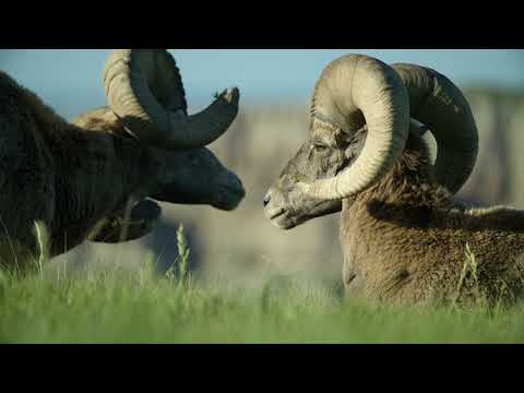 Great Faces Great Places "Badlands National Park