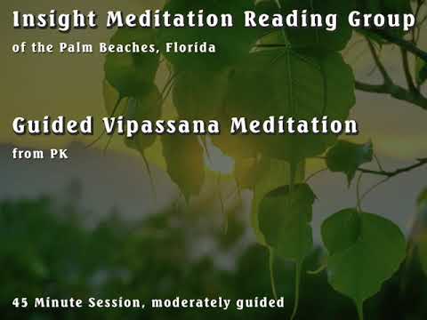 Guided Vipassana Insight Meditation - 45 minutes moderately guided