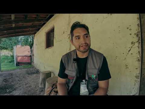 San Javier Beni y uso de palma en arquitectura