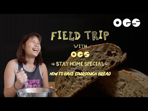 Baking Sourdough Bread In A Day | OGS Field Trip