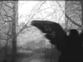 The Veils -  Vicious Traditions