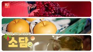 내일을 만드는 소상공인 / 강원매거진7 / [소담] / G1방송 / 260918