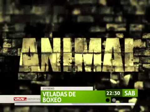 Boxeo en Club México: Luis Cerda vs. César Inalef.mp4