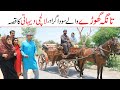 Business Ramzi Noori Bilo Shoki Sanam Jannat Falak Sher Funny Video 2026 Rachnavi Tv