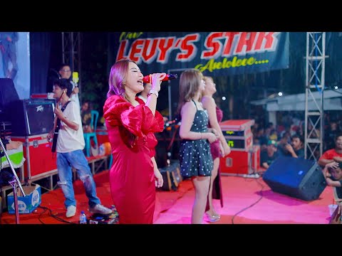 NEW LEVY'S STAR - BINTANG DISURGA - ALL ARTIS - WEDDING PARTY RIFA'I & ELYDA