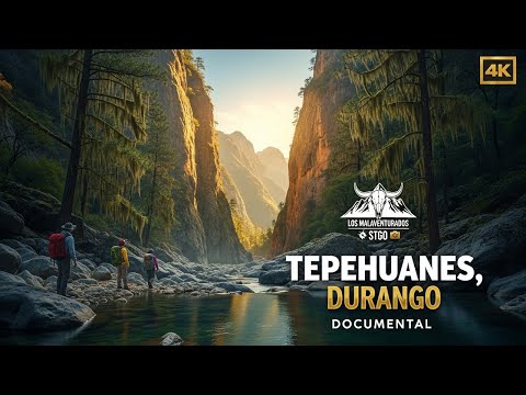 Imagen previa del video de Tepehuanes