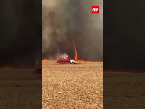 'Tornado de fogo' atinge canavial e área de preservação em Flórida Paulista #shorts