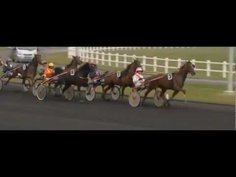 Prix Phaeton 2013_Voltigeur De Myrt_D.Locqueneux