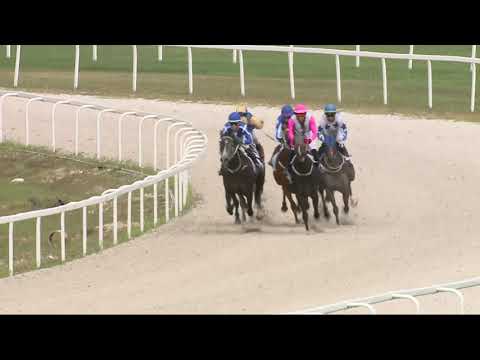 2021.08.29. 07. futam - NYÁRI HENDIKEP (I.o.) (szintetikus pálya)