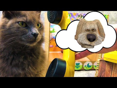 My Talking Tom and Talking Ben in real life. DIY