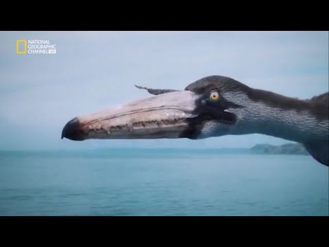 10 BESTIAS MÁS GRANDES QUE HAN HABITADO EL MUNDO - Documental