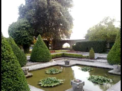 M.V. - 1995-07-02 - 03 - Dreaming 2-1