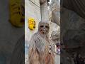 Chew-BAKA #disneyland #galaxysedge #starwars #chewbacca #disney #starwarsland #funny #impression