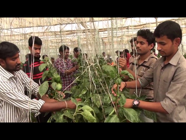 University of Agricultural Sciences Dharwad видео №1