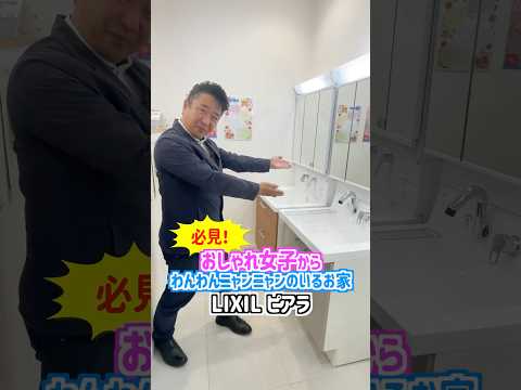 [１分で紹介]オシャレ女子やわんわんにゃんにゃんのいるお宅必見！LIXILピアラ #山梨  #リフォーム  #洗面化粧台 #shorts