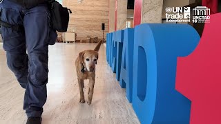 Lights. Cables. Action | UNCTAD16