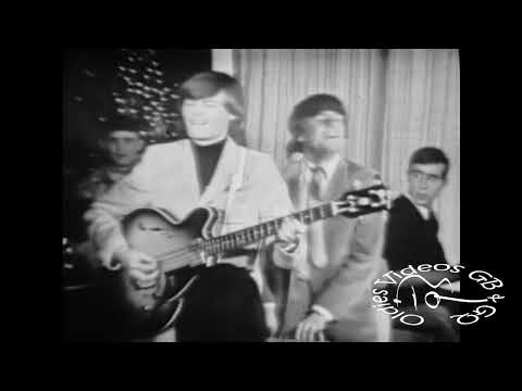 The Five Americans -  I See The Light (1966)