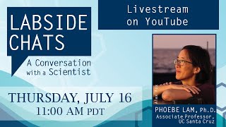 Labside Chats: A Conversation with a Scientist, featuring Phoebe Lam, Ph.D. video