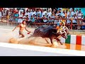 Puttur Kambala 2020
